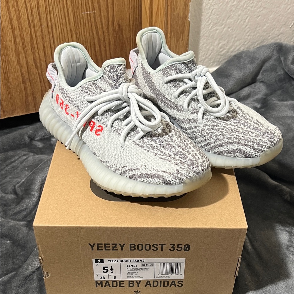 Adidas Yeezy Boost 350 V2 White and Gray Shoes